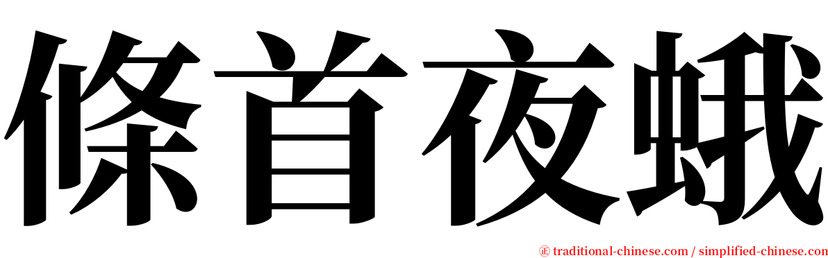 條首夜蛾 serif font