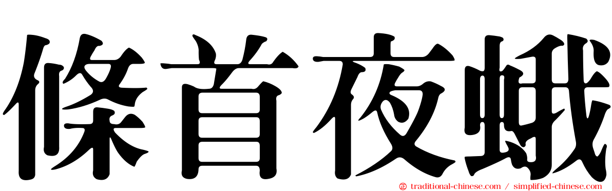 條首夜蛾