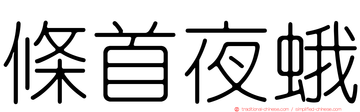 條首夜蛾