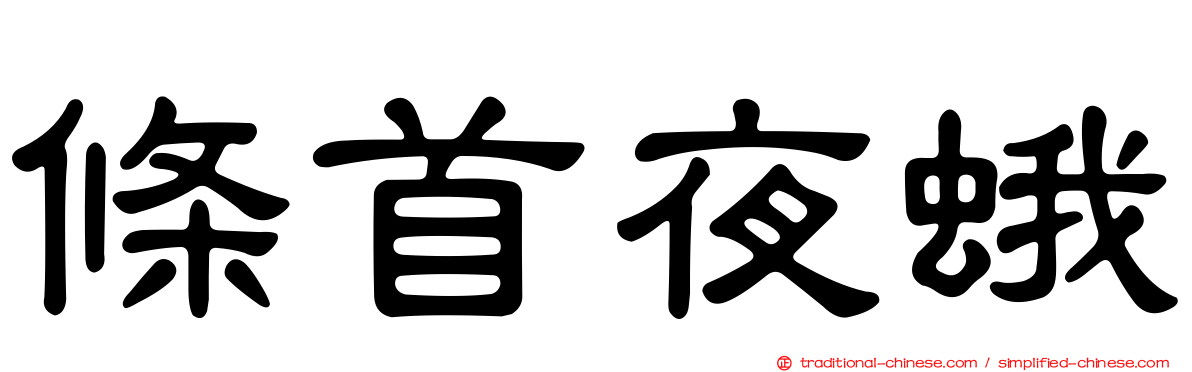 條首夜蛾