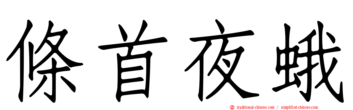 條首夜蛾