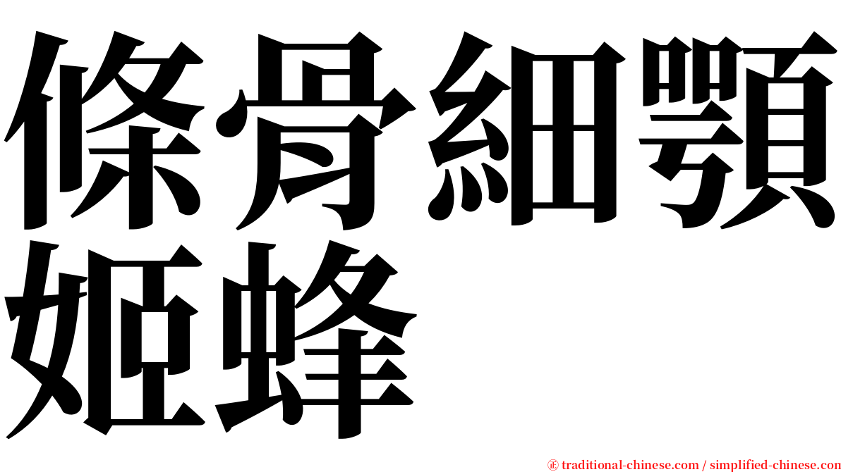 條骨細顎姬蜂 serif font
