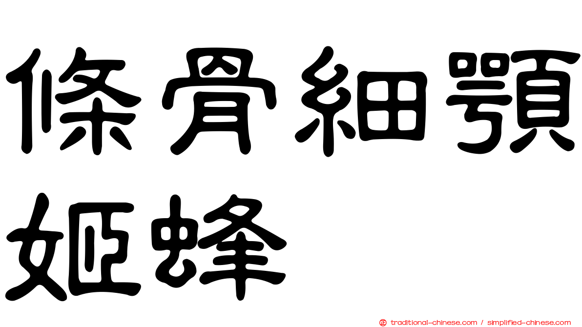 條骨細顎姬蜂