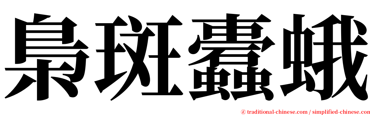 梟斑蠹蛾 serif font