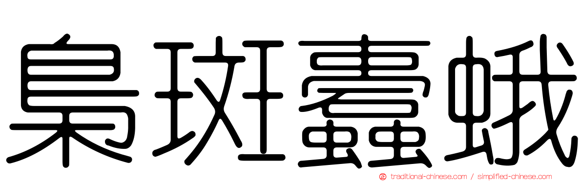 梟斑蠹蛾