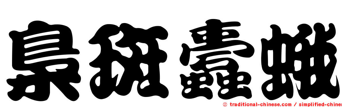 梟斑蠹蛾