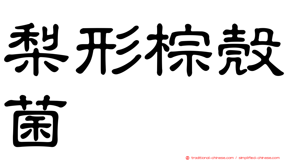 梨形棕殼菌
