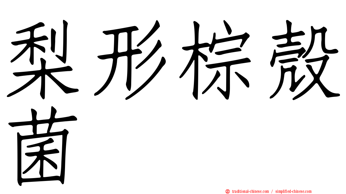 梨形棕殼菌