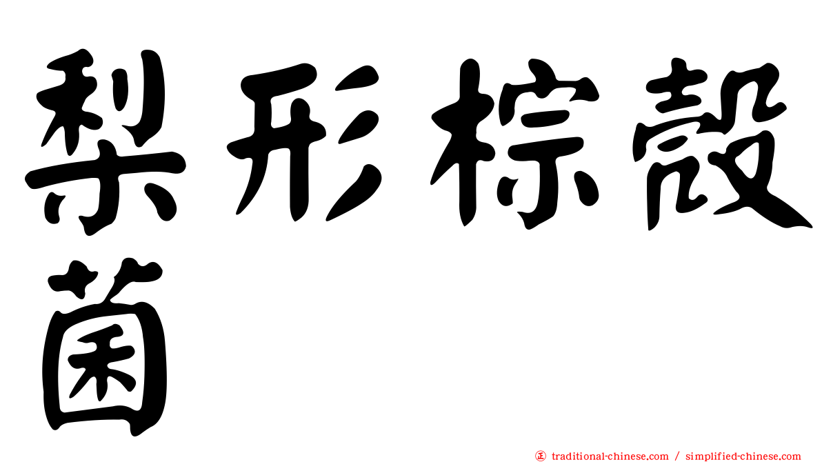 梨形棕殼菌