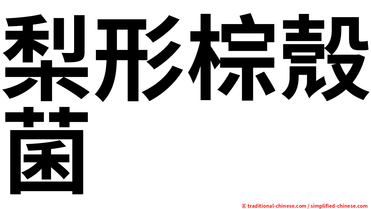 梨形棕殼菌