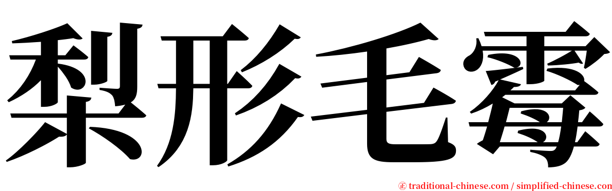 梨形毛霉 serif font