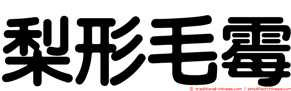 梨形毛霉
