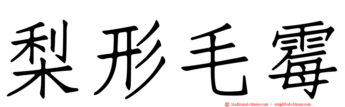 梨形毛霉