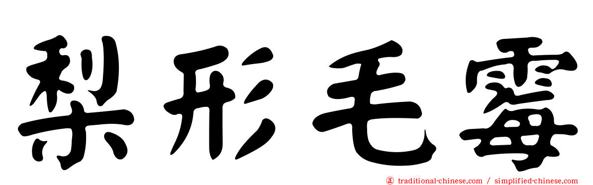 梨形毛霉
