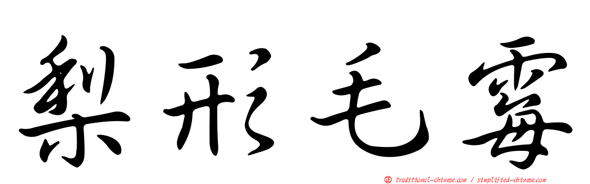 梨形毛霉