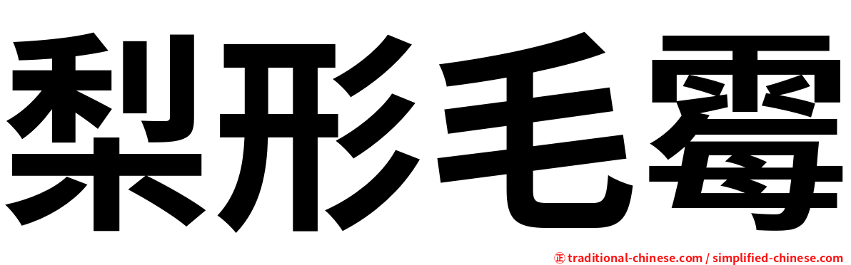 梨形毛霉