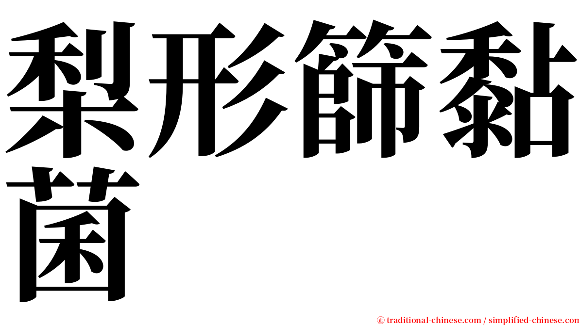 梨形篩黏菌 serif font
