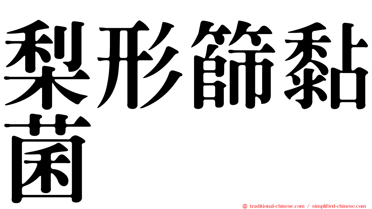 梨形篩黏菌