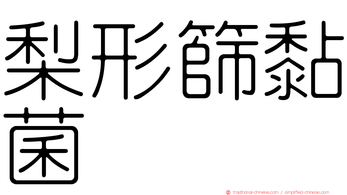 梨形篩黏菌