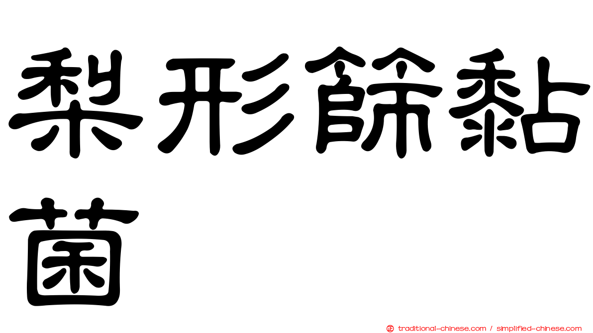 梨形篩黏菌