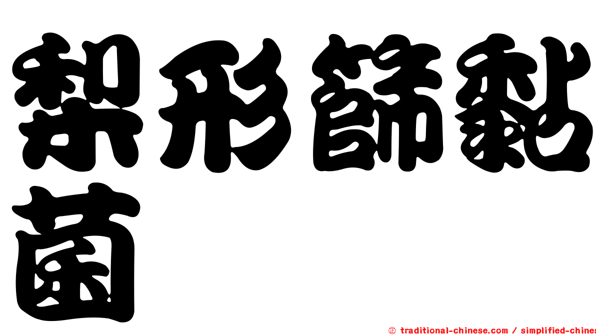 梨形篩黏菌