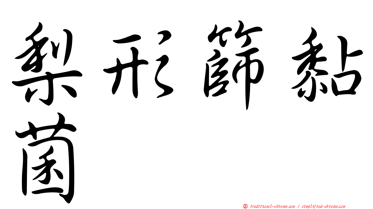 梨形篩黏菌