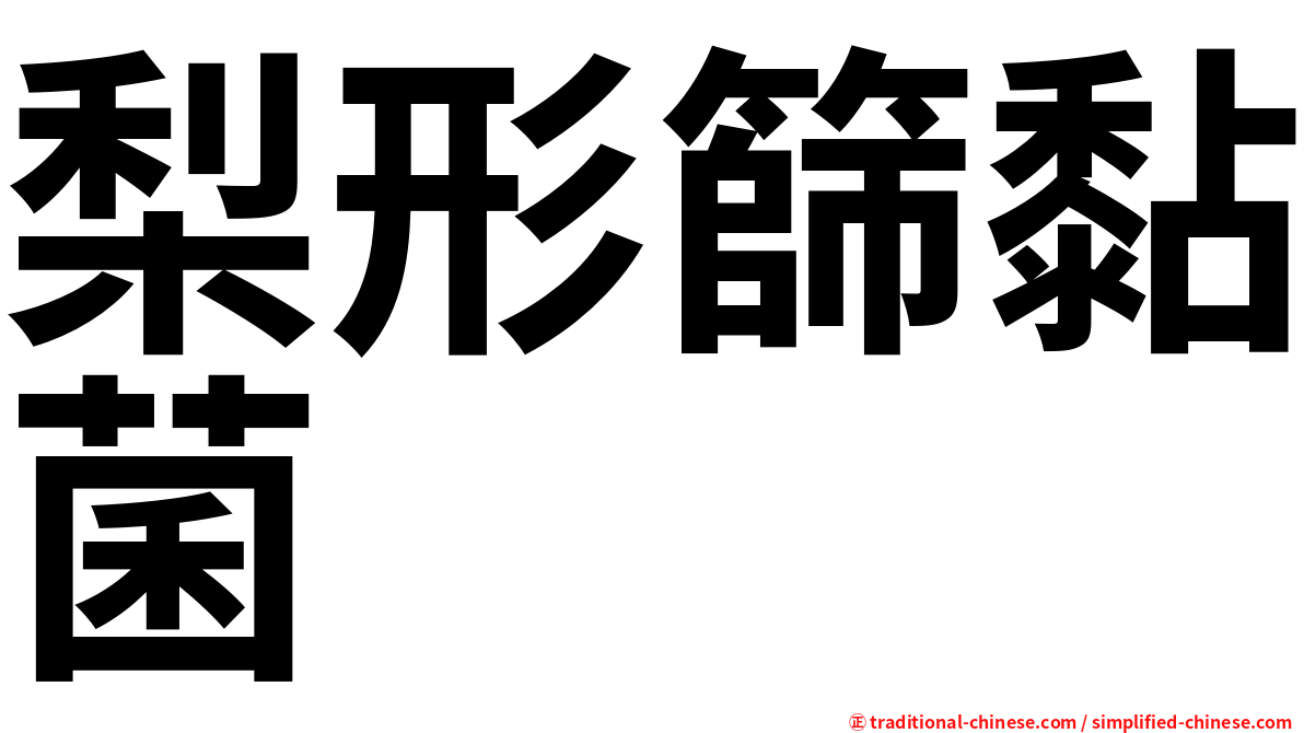 梨形篩黏菌