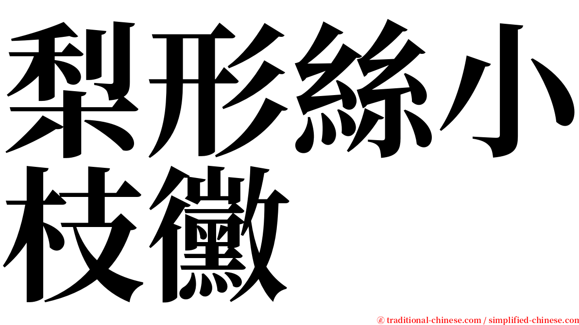 梨形絲小枝黴 serif font