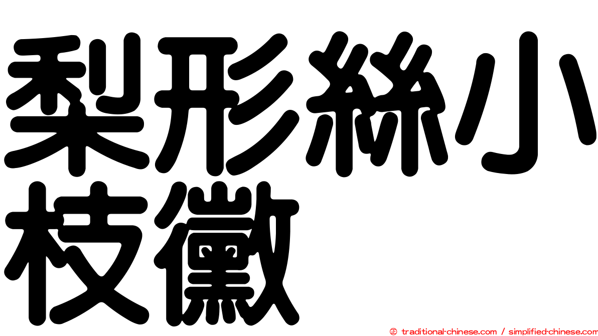 梨形絲小枝黴