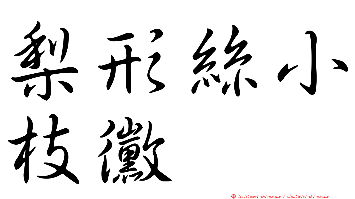 梨形絲小枝黴