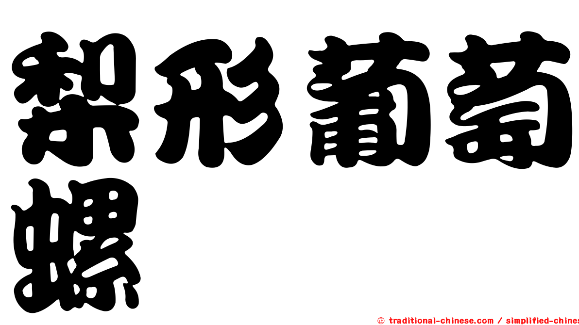 梨形葡萄螺