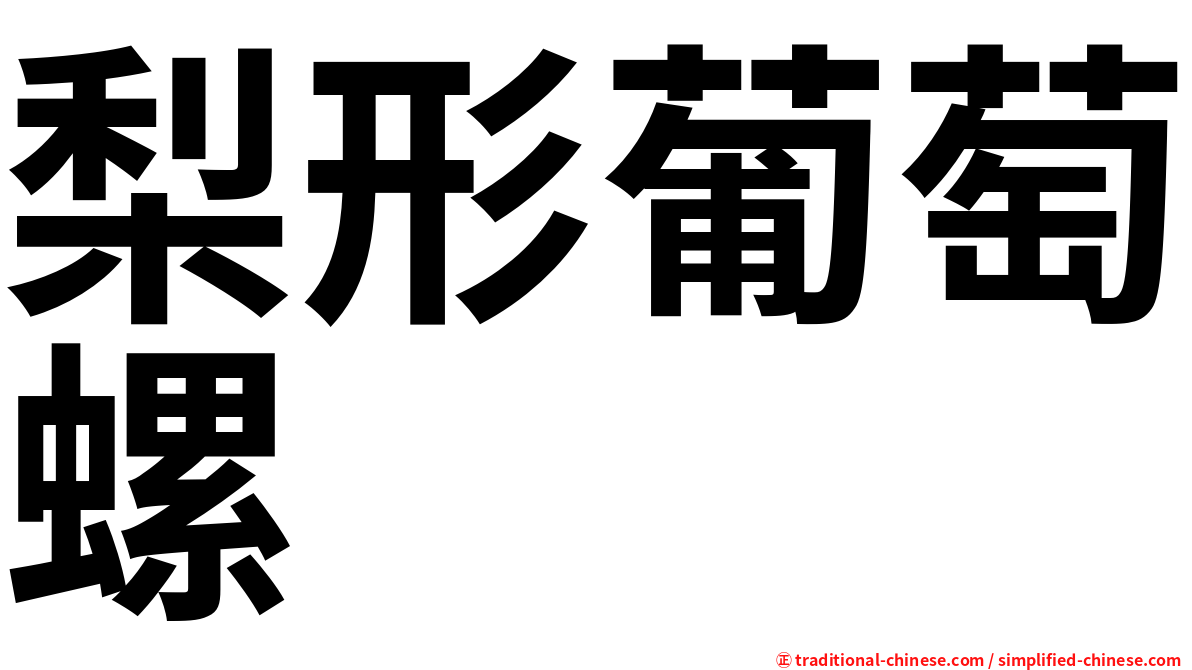 梨形葡萄螺