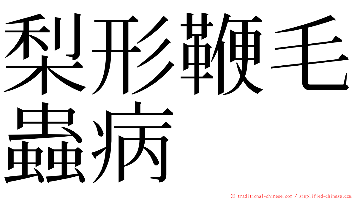梨形鞭毛蟲病 ming font