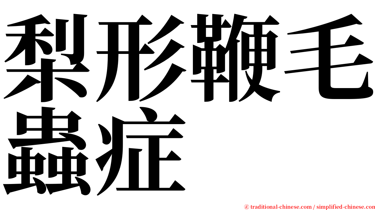 梨形鞭毛蟲症 serif font