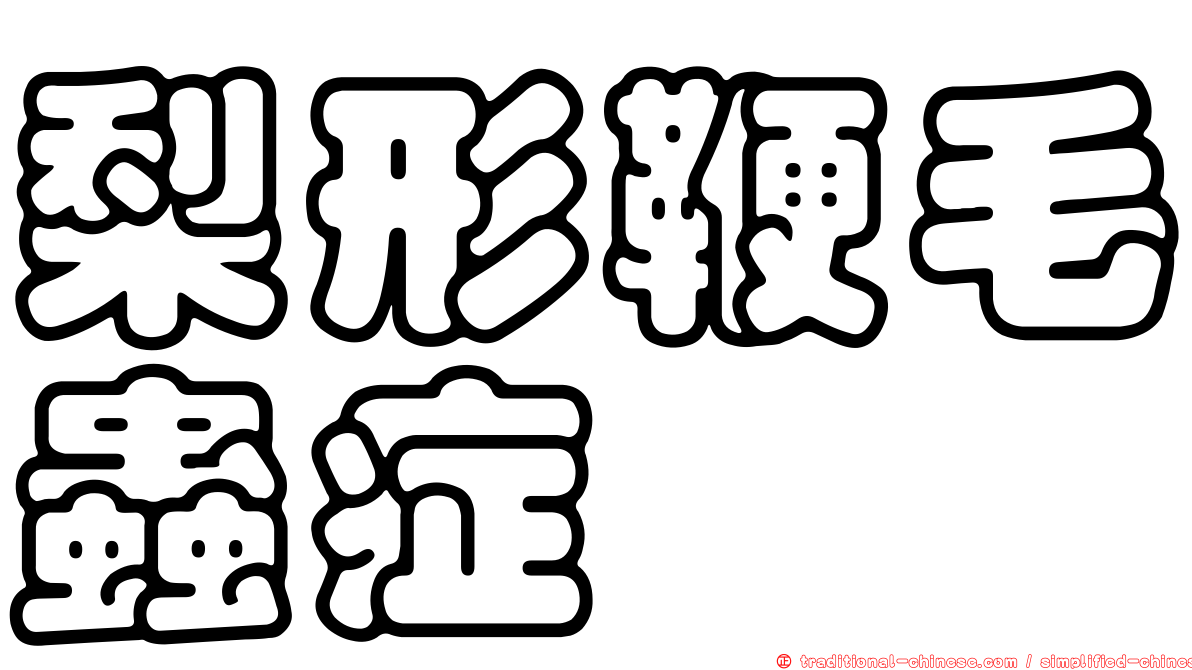 梨形鞭毛蟲症