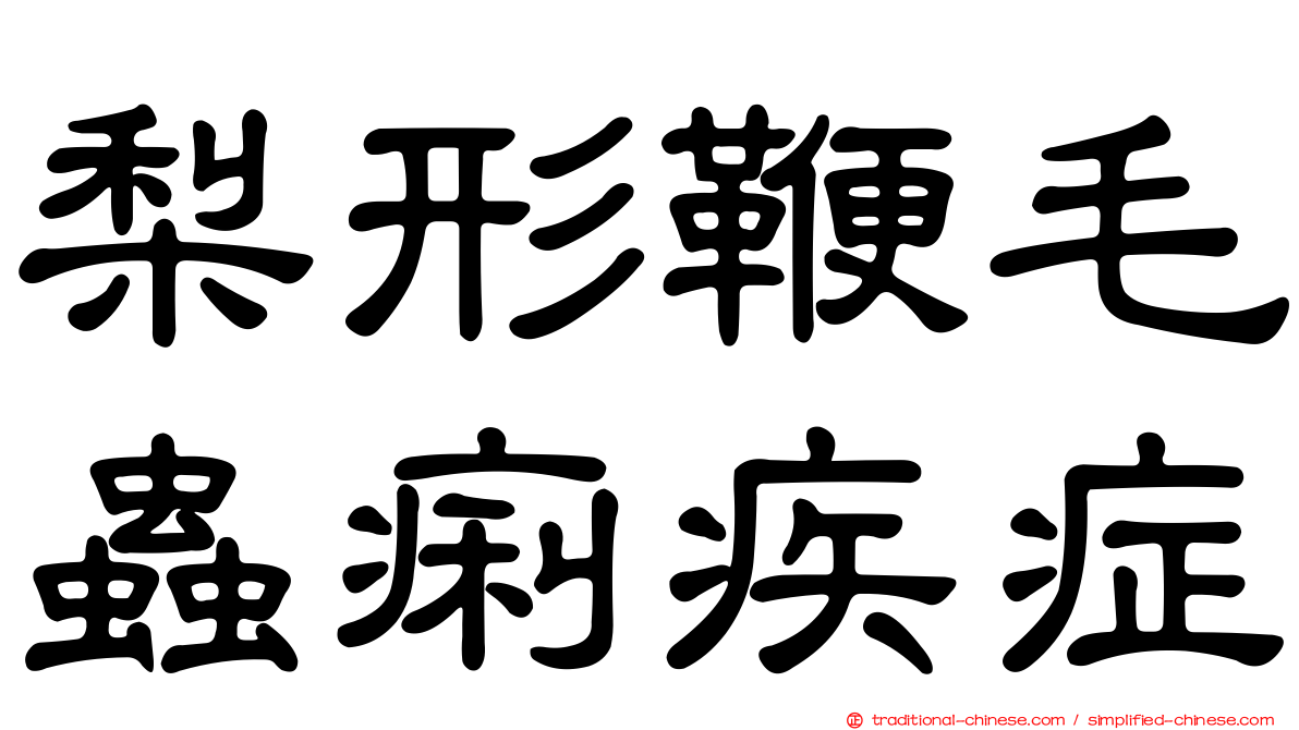 梨形鞭毛蟲痢疾症