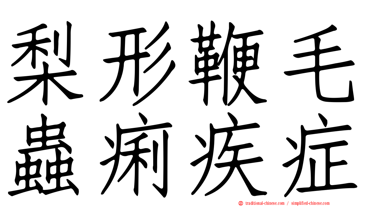 梨形鞭毛蟲痢疾症