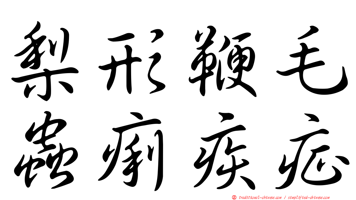 梨形鞭毛蟲痢疾症