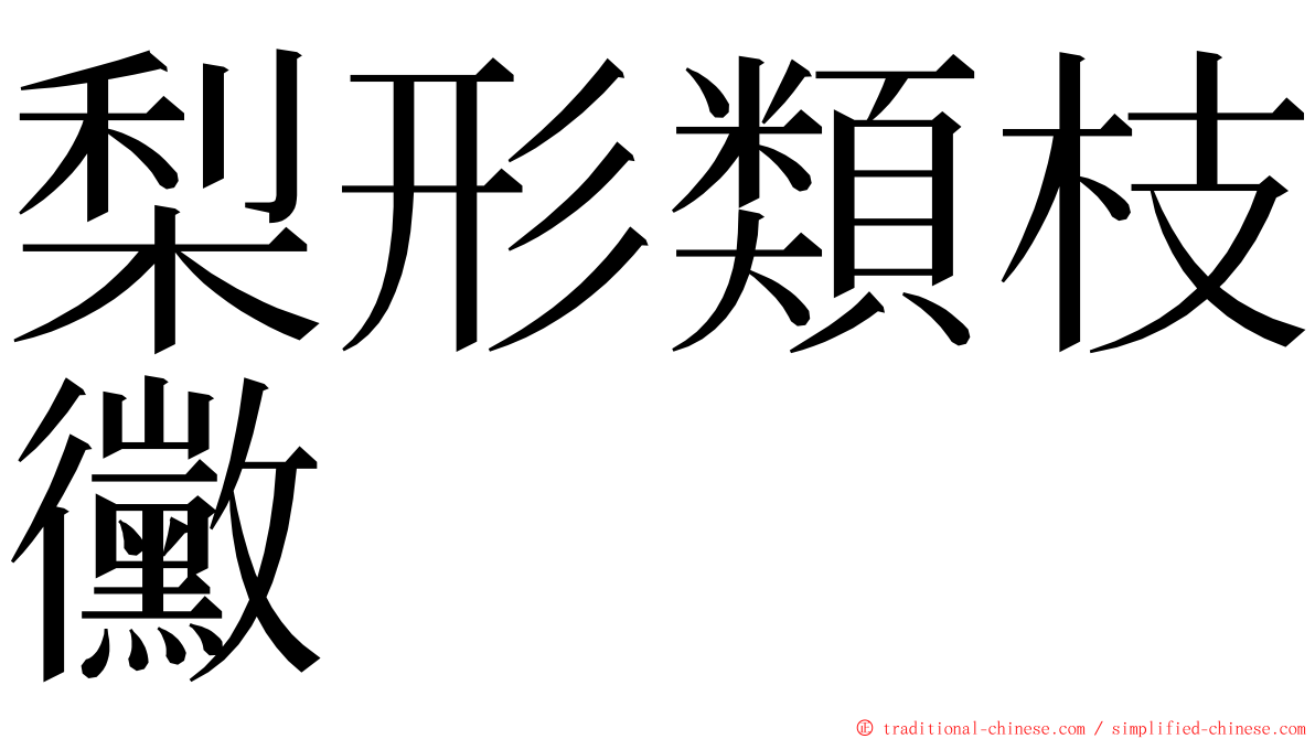 梨形類枝黴 ming font