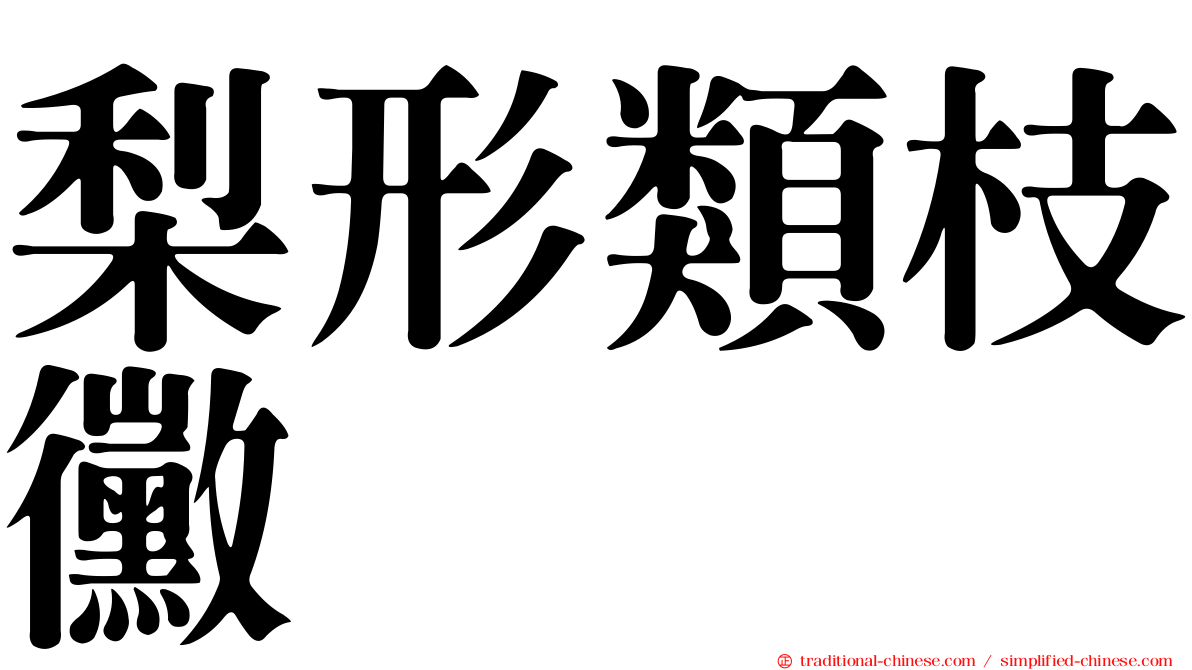 梨形類枝黴