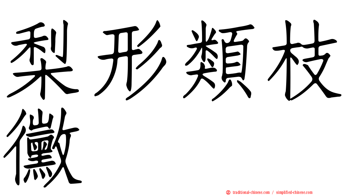 梨形類枝黴