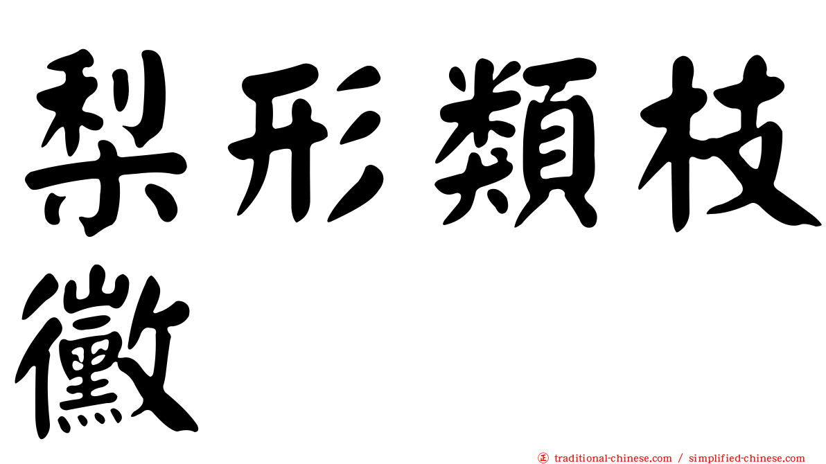 梨形類枝黴
