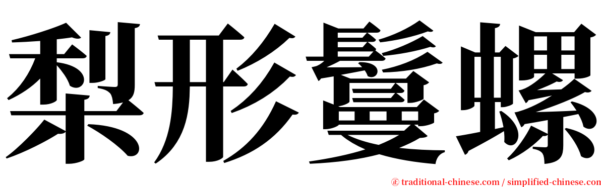 梨形鬘螺 serif font