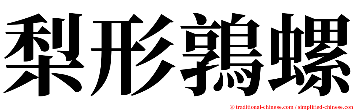 梨形鶉螺 serif font