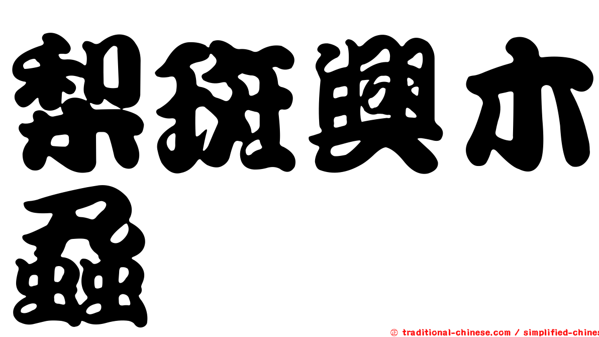 梨斑興木蝨
