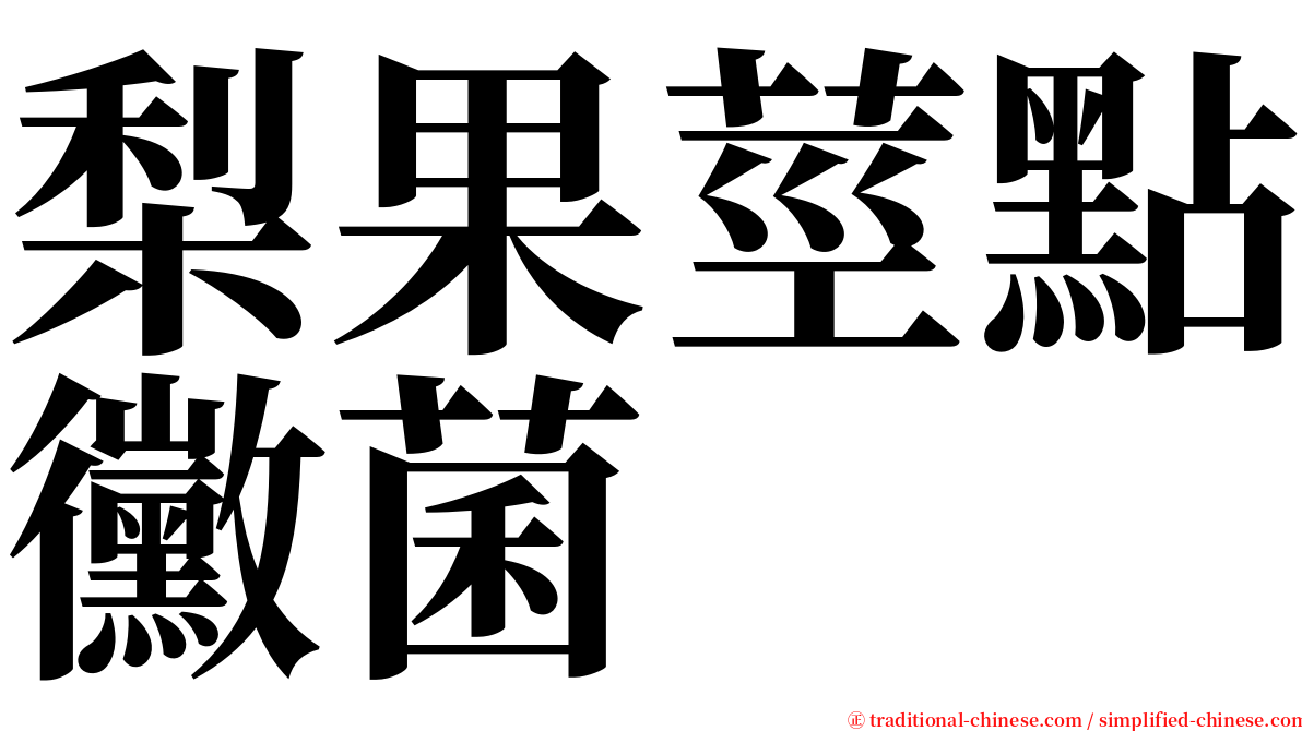 梨果莖點黴菌 serif font