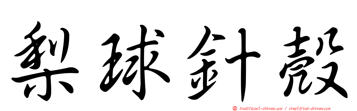 梨球針殼