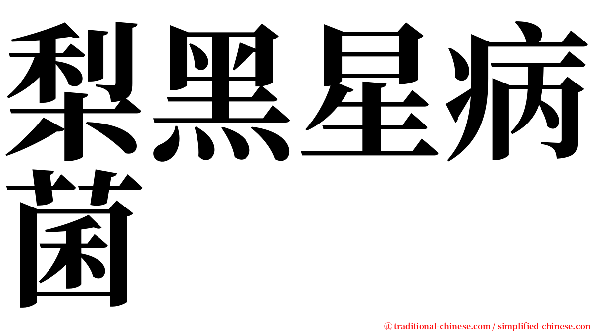 梨黑星病菌 serif font