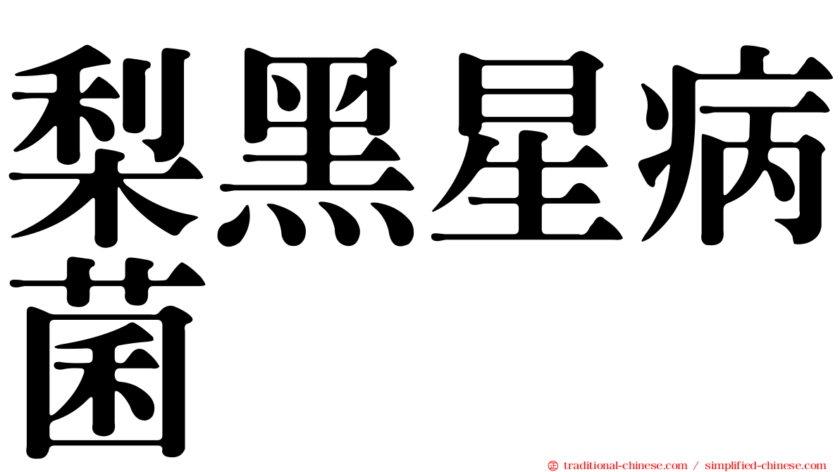 梨黑星病菌