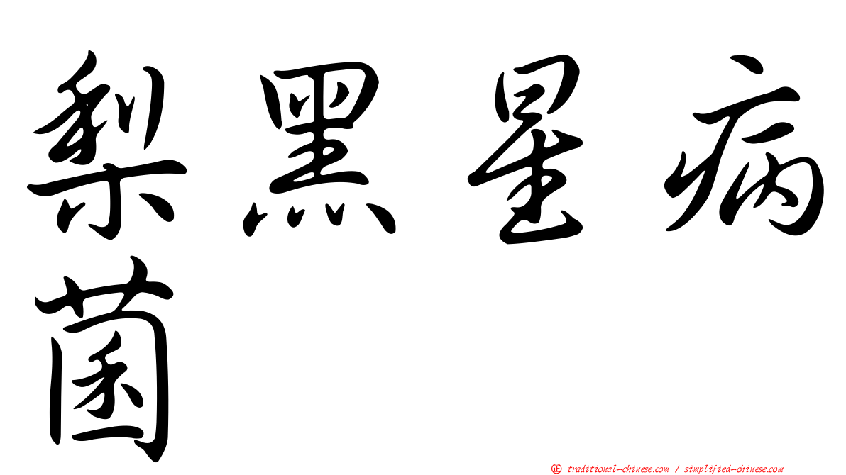 梨黑星病菌
